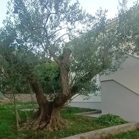 Bila Lumbrela Apartmán