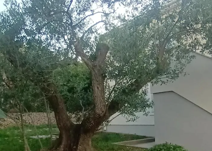 Bila Lumbrela Apartament